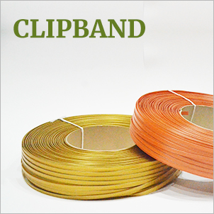 Clipband